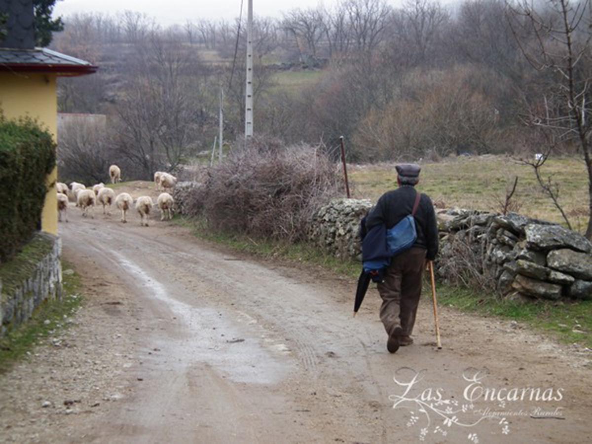 Las Encarnas Braojos de la Sierra المظهر الخارجي الصورة